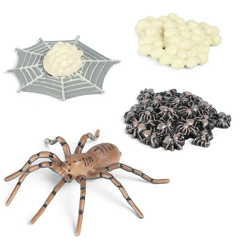 Имитация животных строительные фигурки мини паук цикл роста животные ПВХ