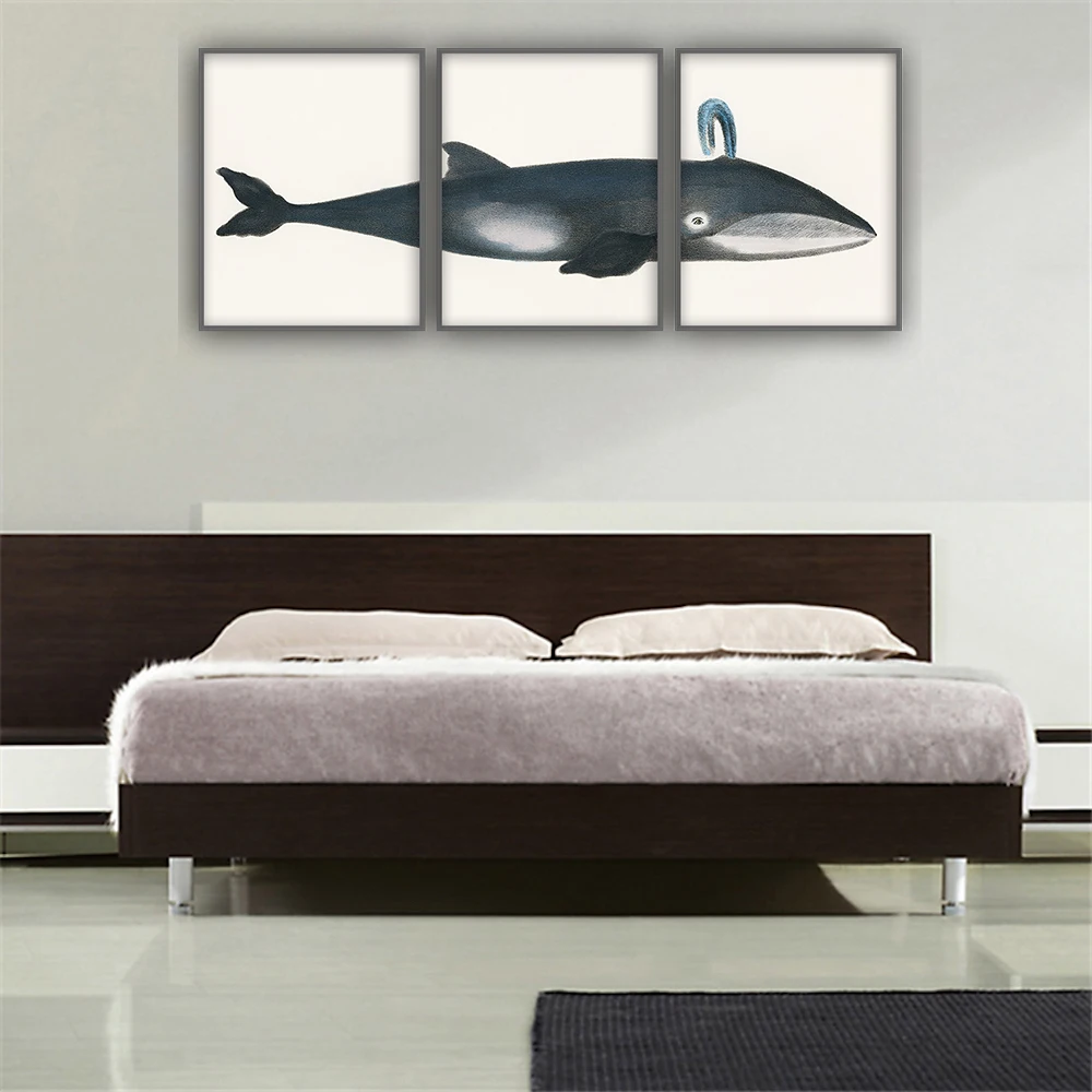 Комплект из 3 плакатов с изображением горбатого кита для гостиной триптих Кита
