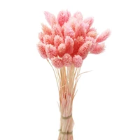 50pcs dried gem grass phalaris flower bouquets home decoration eternal flower photography props