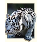 Алмазная 5D картина сделай сам с изображением животных, белый тигр, наборы для вышивки крестиком, полноразмерная Алмазная мозаика, картина Стразы для украшения дома