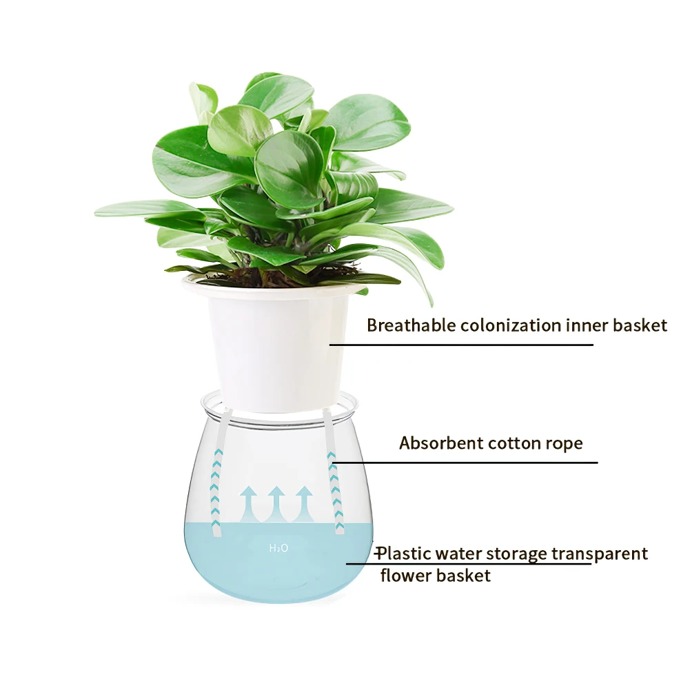

Self Watering Automatic Transparent Pot Plant Flower Pot Vase Succulent Plants Plastic For Garden Storage Decoration