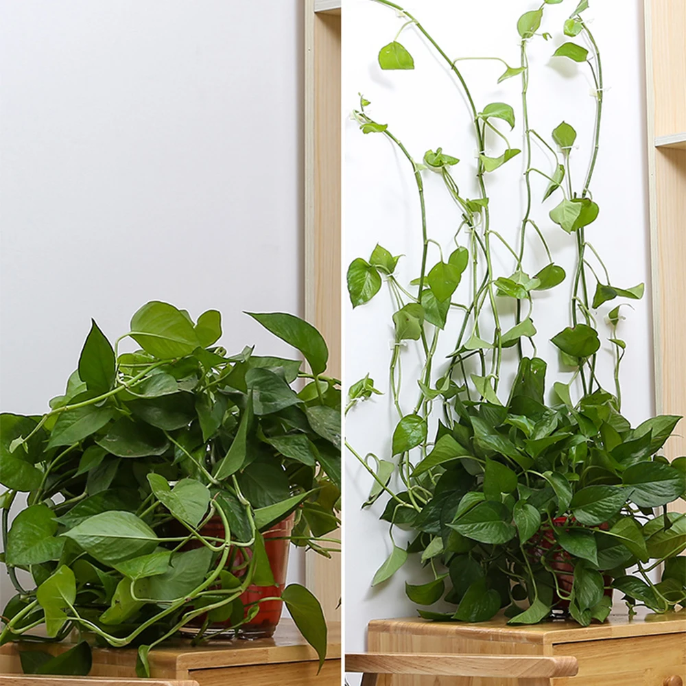 Невидимый настенный зажим из ротанга 20 шт. невидимый Настенный Липкий крючок для