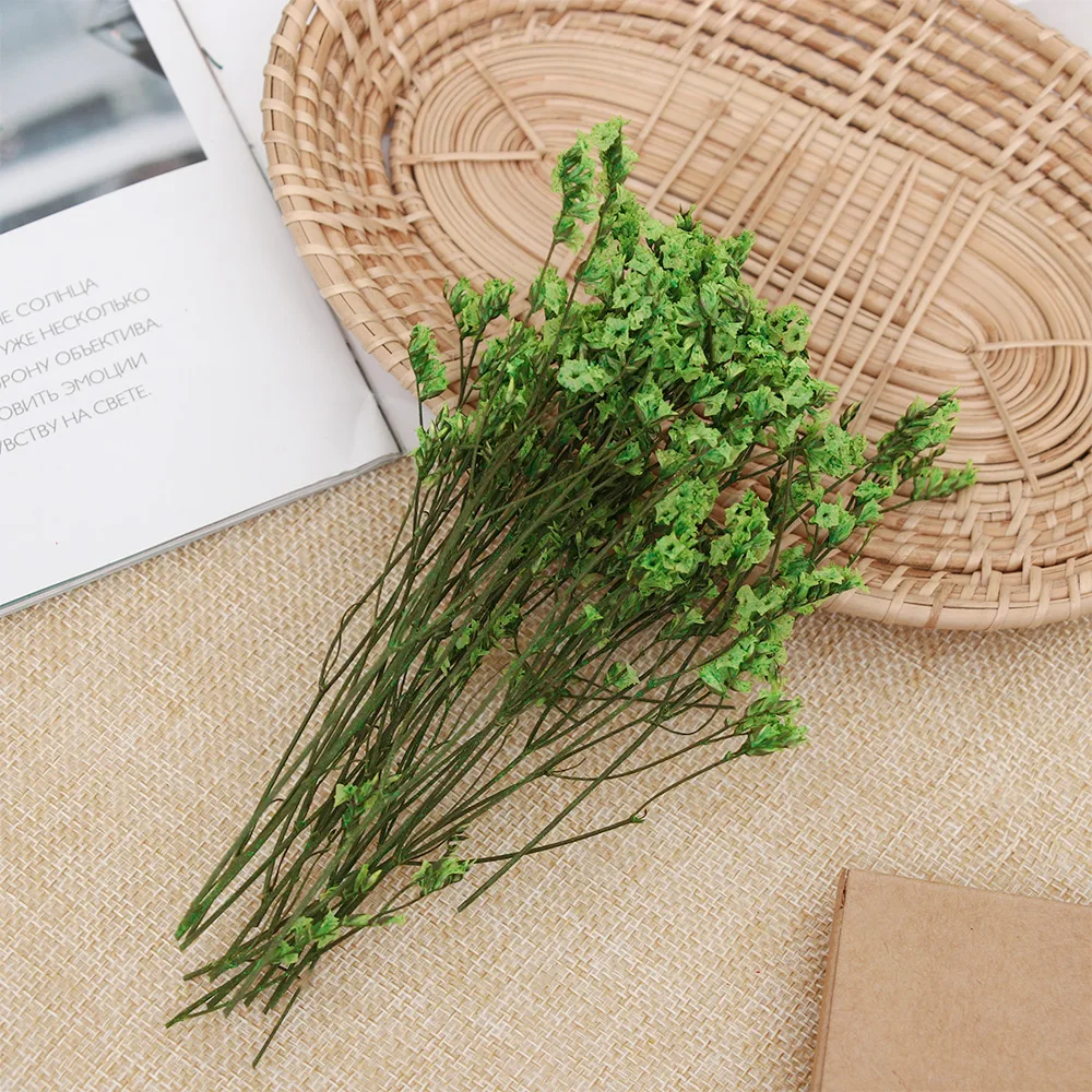 Красочные цветочные растения Хрустальная трава babysbreak для рукоделия Скрапбукинг