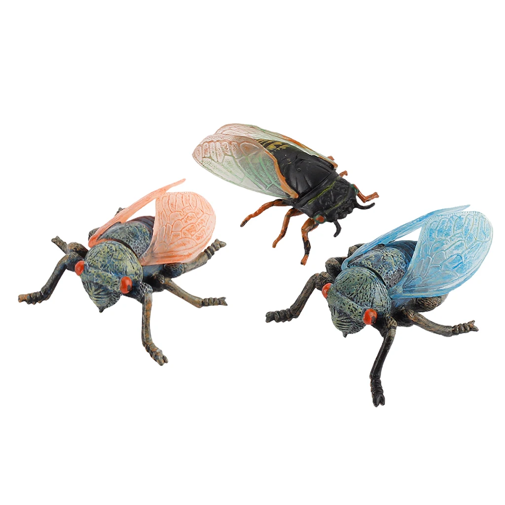 

Комплект из 3 предметов Поддельные Имитация Модель насекомого реалистичный Пластик в виде цикады из цифры для сбора научные образовательны...