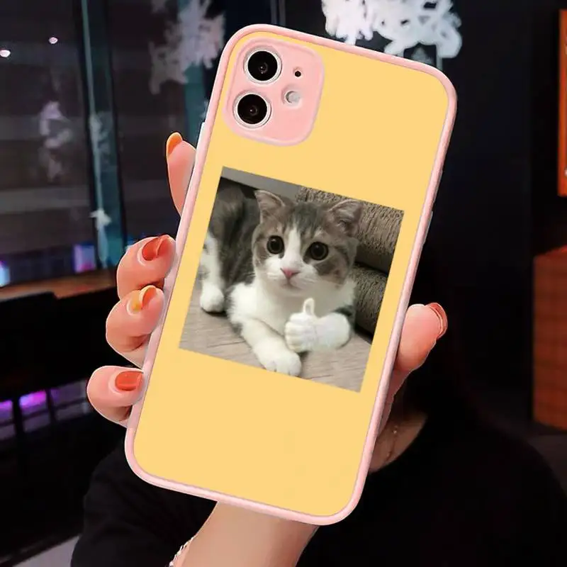 

Cute Animal Cat Phone Case For iPhone 12 11 Mini Pro XR XS Max 7 8 Plus X Matte transparent Pink Back Cover