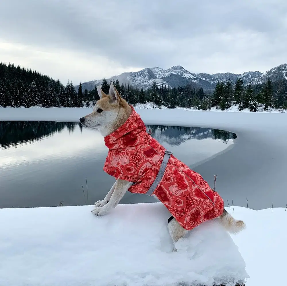 

Pet Dog Clothes Winter Warm Windproof Coat Thicken Pet Clothing For Dogs Costume Jumpsuit Jacket Ski Suit Pet Supplies perros