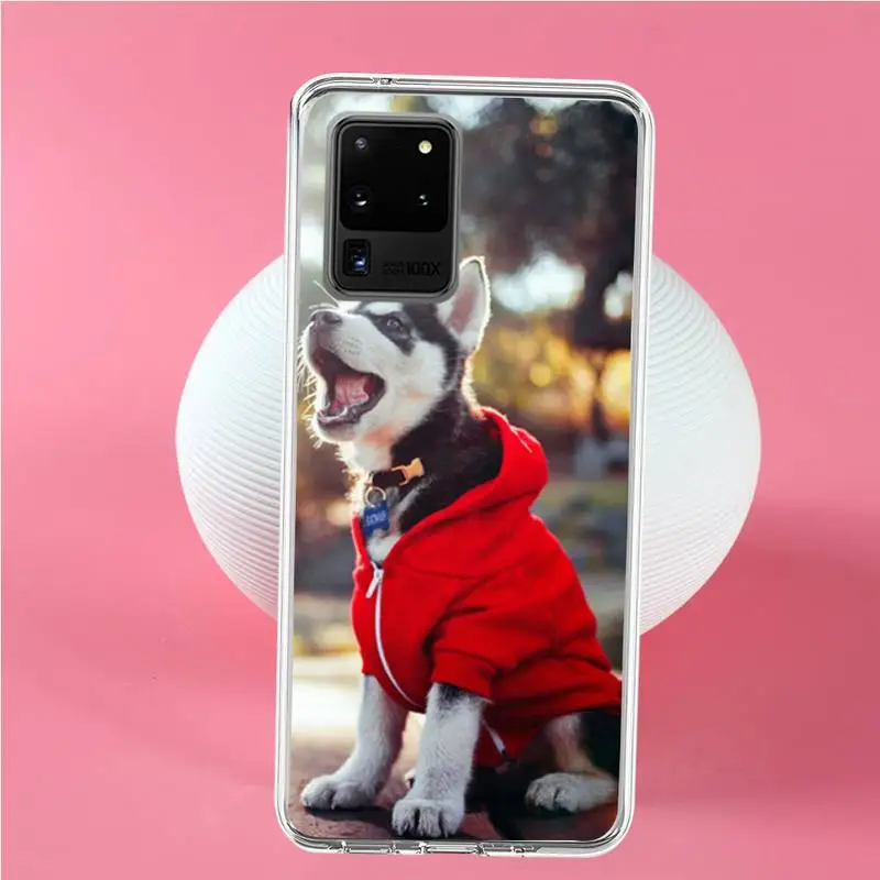 Чехол для телефона Husky dog Samsung S6 S7 edge S8 Plus S9 S10 plus E(lite) | Мобильные телефоны и