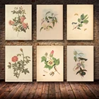 ВИНТАЖНЫЙ ПЛАКАТ с растениями, античный цветочный принт с птицами, искусство, Образовательное настенное искусство, домашний декор, холст, живопись, декор для комнаты в эстетике