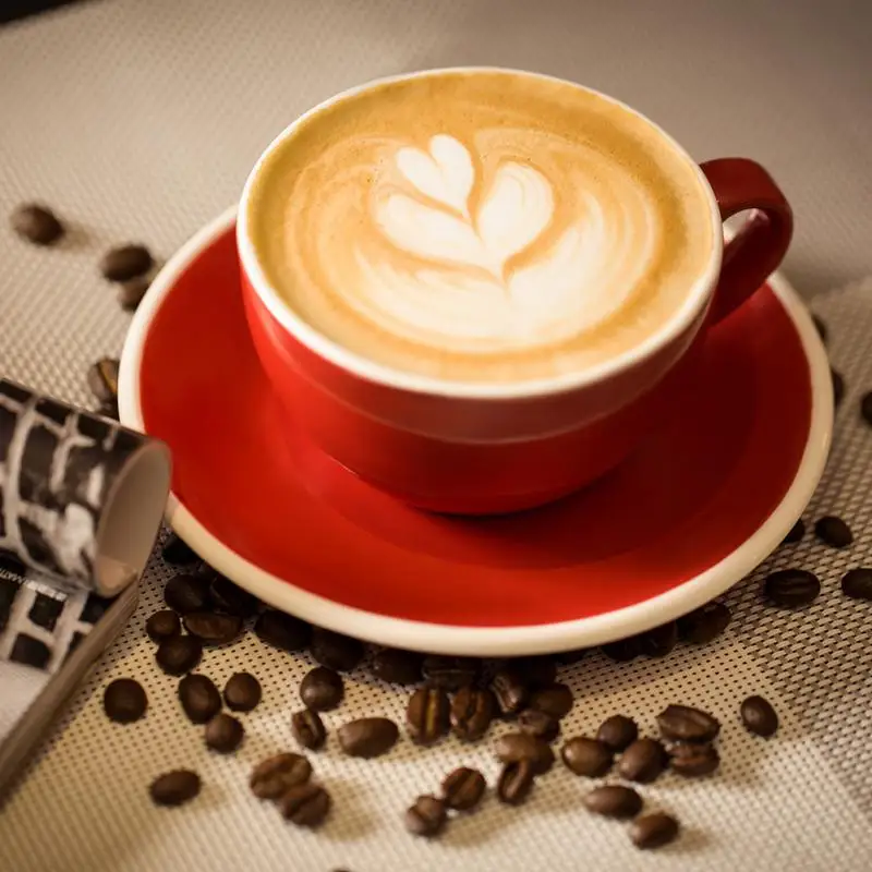 25 Coffee Stencils Fancy Powdered Sieve Printing Model Foam Spray Drawing Cappuccino Mold Thanksgiving Christmas | Дом и сад