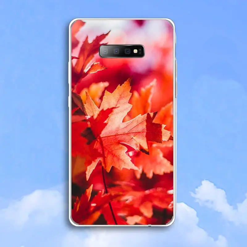

Autumn yellow falling leaves maples Phone Case Transparent For Samsung Galaxy A 71 21s S note 8 9 10 plus 20 ultra