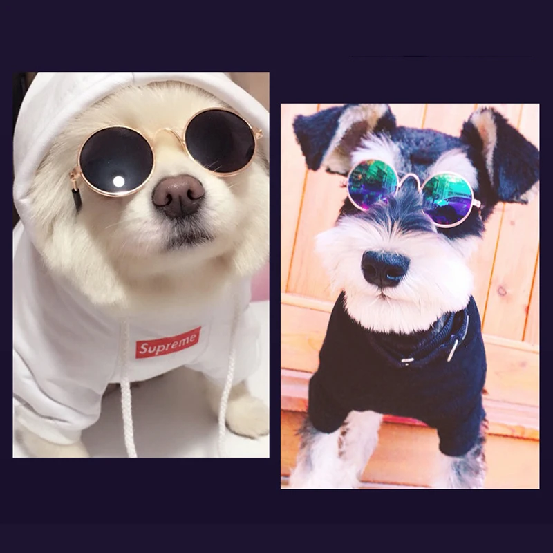 1 шт. Складная Животных очки для домашних животных отдыха на открытом воздухе