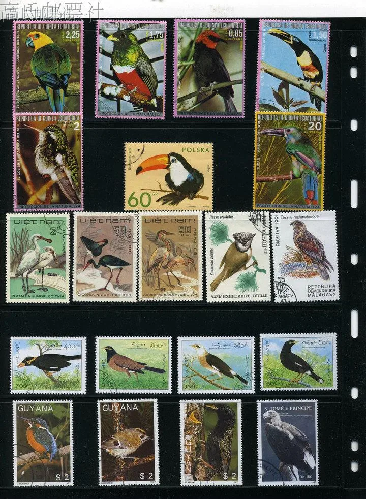 

New 50Pcs/Lot Bird Parrot Eagle All Different From Many Countries NO Repeat Unused Postage Stamps for Collecting
