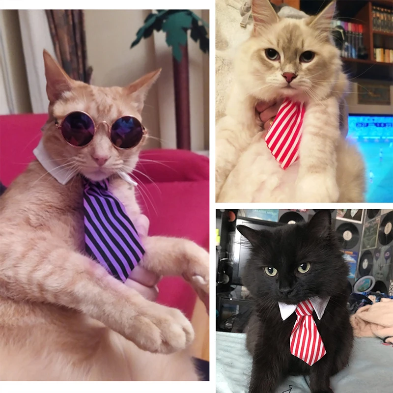 

Аксессуары для Хэллоуина, аксессуары для домашних животных