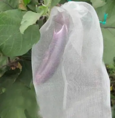 10 шт. фруктов и овощей крышка в shape форме благодаря чему создается ощущение