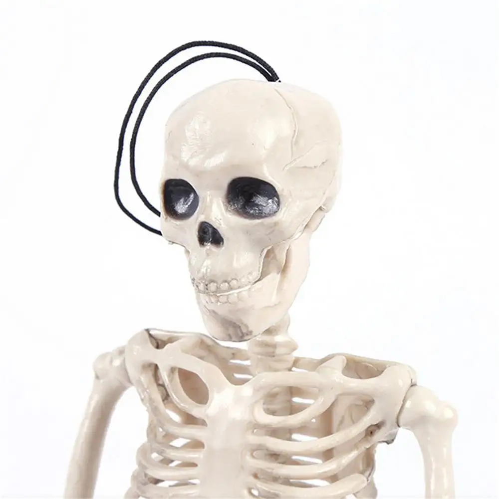 Poseable Skeleton Figure With Movable Joints Haunted House Props For Halloween Party Decoration