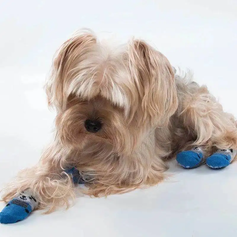 

4Pcs Cute pet dog socks winter Warm calcetines Puppy Breathable dibujos products Paw Care Soft knitting Portable Protection