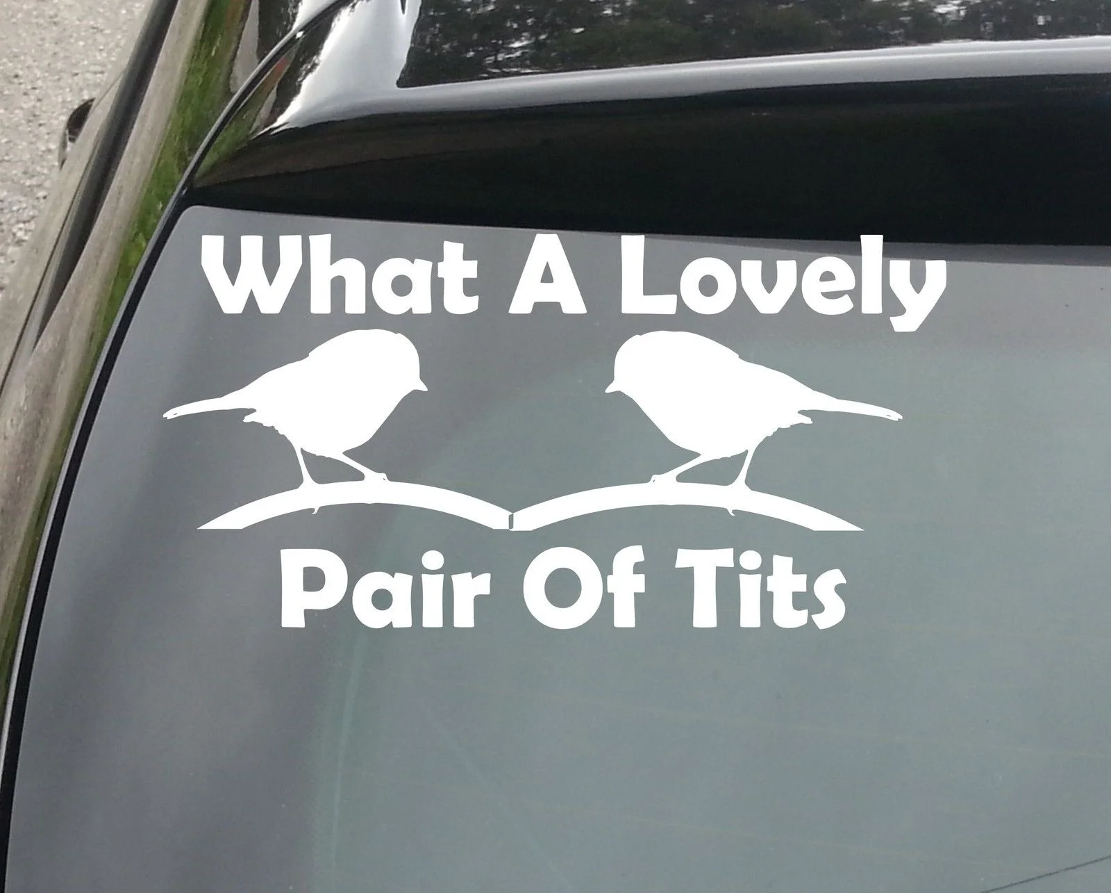 Милый виниловый стикер T * ts с изображением птичьих птиц забавный компьютер/окно