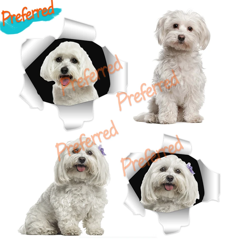 

Interesting Decals Exterior Accessories Maltese Dog Malta Puppy for Opel Decal Cute Stickers Custom Car Sticker Decoration