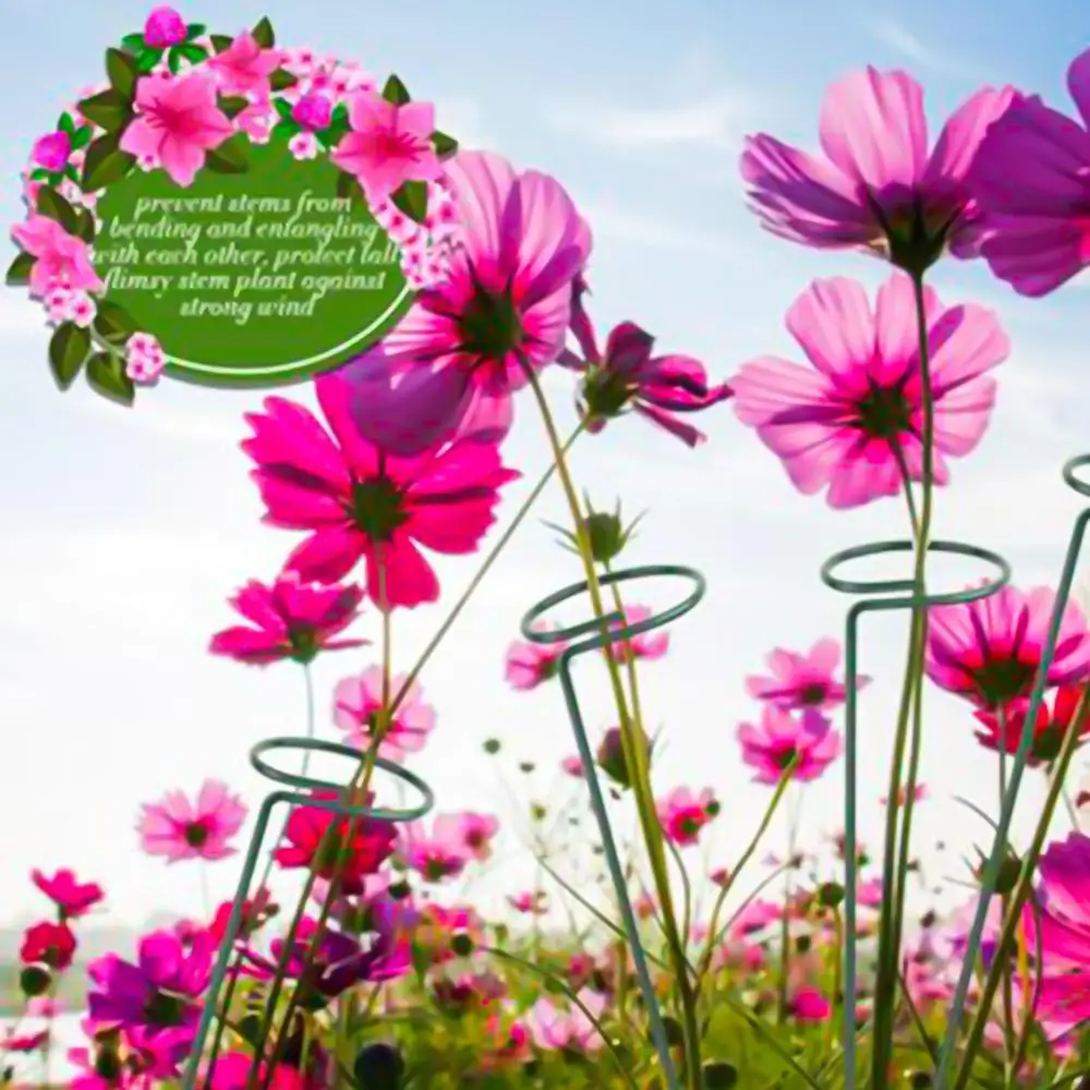 

5pcs 18 Inch Single Stem Plant Support Stand Flowers Support Ring Metal Plant Support Stakes Bonsai Support Backyard Garden Tool