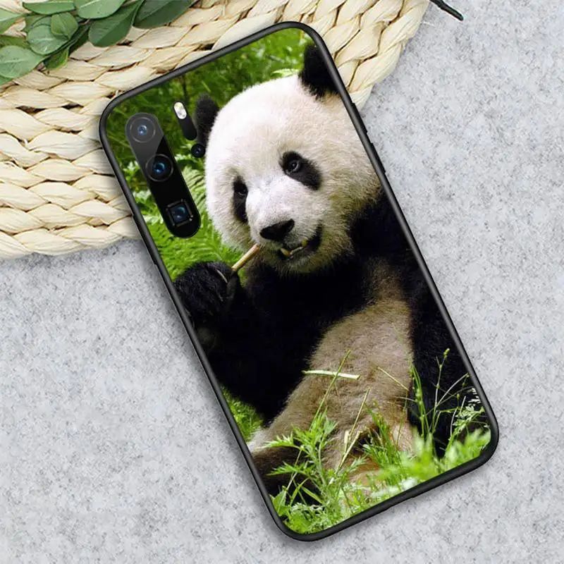 

panda cute funny animal Phone Case For Huawei honor Mate P 10 20 30 40 i 9 8 pro x Lite smart 2019 nova 5t