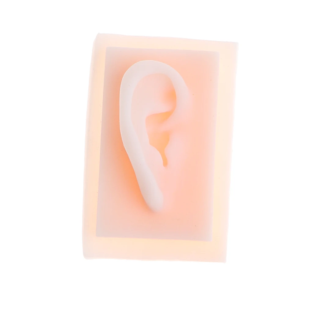 Силиконовая модель для акупунктуры с размером жизни школьный учебный инструмент