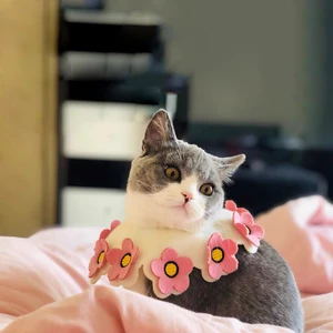 Accessories for Small Pets Cute Saliva Towel Love Bib Pet Scarf Bib Chihuahua Bichon Teddy Triangle Scarf Cat Accessories