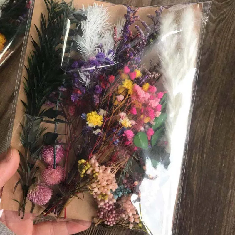 От волдырей 25 г натуральным завода по производству сухих Мульти Стиль сушеная