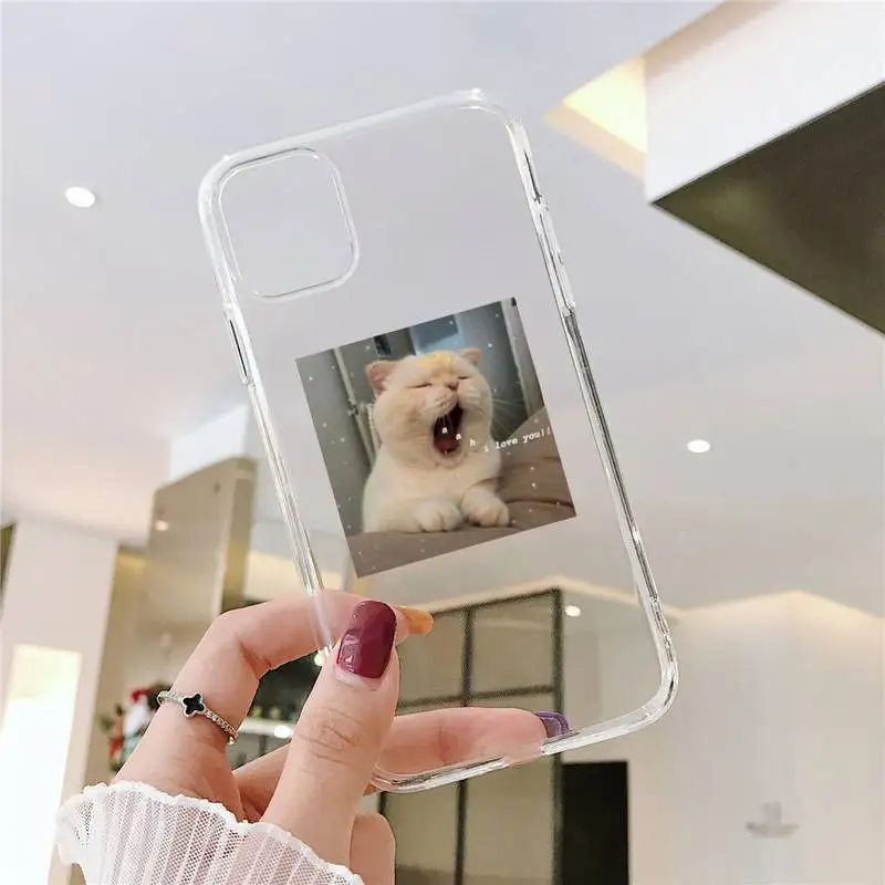 

Cute Cat Phone Case For iphone 12 11 8 7 6s 6 5 5s 5c se plus mini x xs xr pro max Transparent soft