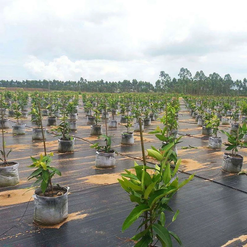 

3M Wide 5m Length Agricultural Anti Grass Cloth Farm-Oriented Weed Barrier Mat Thicker Orchard Garden Weed Control Fabric