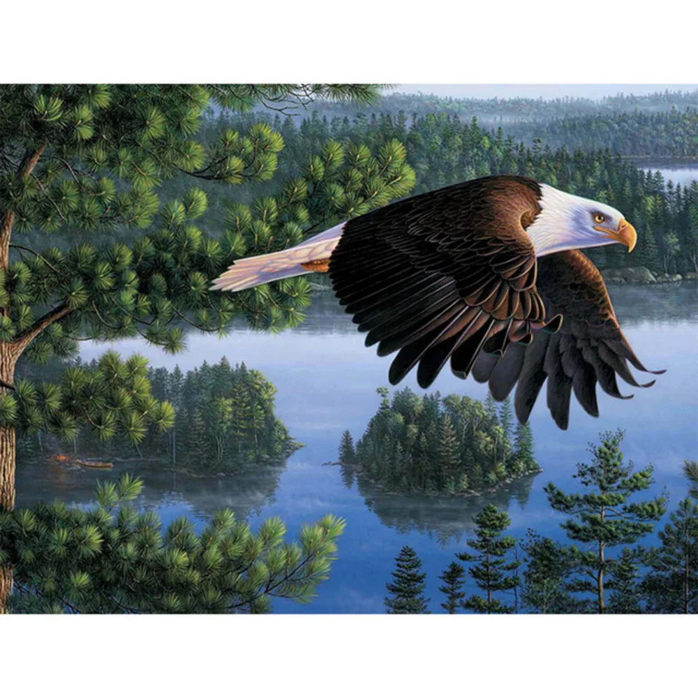 Животное Птица орел Сделай Сам Вышивка крестом 11CT Наборы для вышивания ремесло