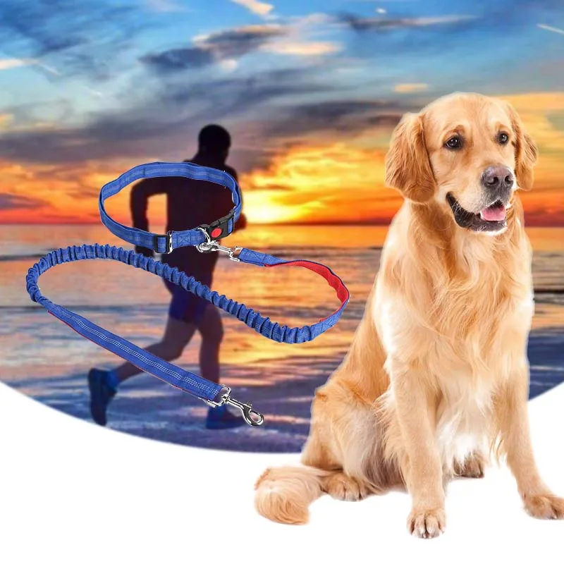 Выдвижной Поводок для собак бега и поводок с двойной ручкой Светоотражающий