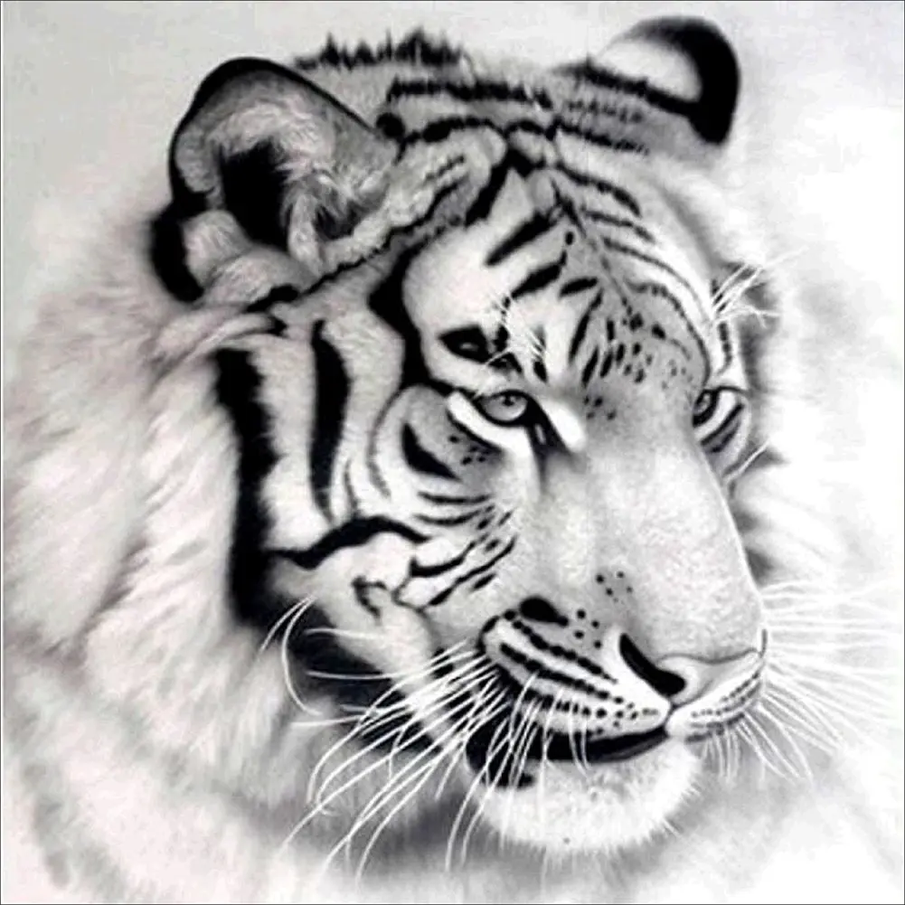 DIY 5D Diamond Painting By Number Kits Black White Tiger Crystal Rhinestone Embroidery Pictures Arts Craft For Home Wall Decor|Алмазная