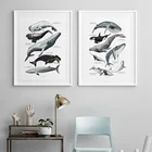 Настенная картина с акварелью, морской жизнью, Китом, акулой, бумага для рисования на холсте, скандинавские плакаты и принты, настенные картины для декора гостиной