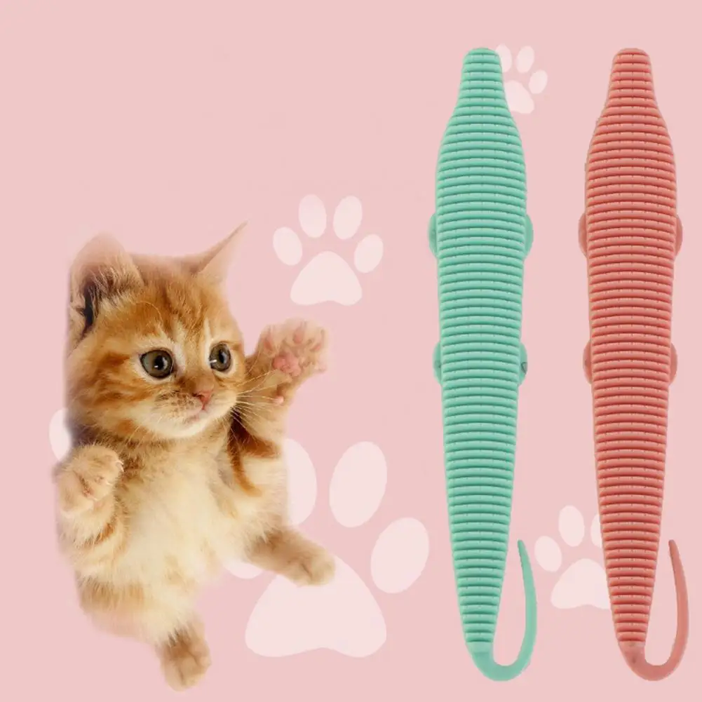 

Creative Lightweight Pet Hair Cleaning Brush Beauty Products Pet Grooming Brush Non-slip for Kitten