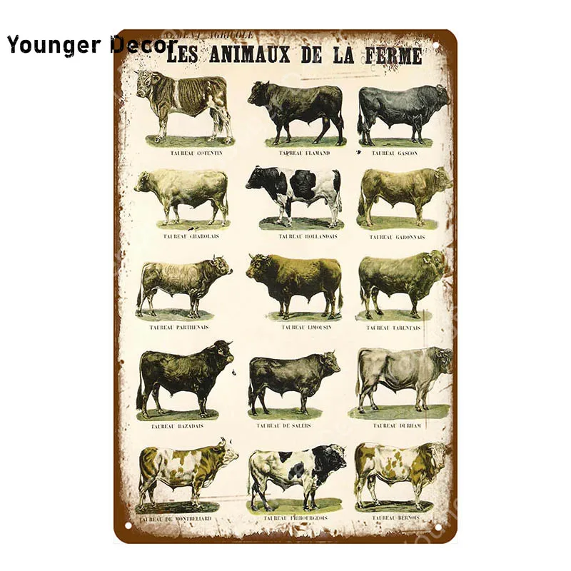 Рынок свежих яиц молочный металлический знак магазин кафе домашний Настенный