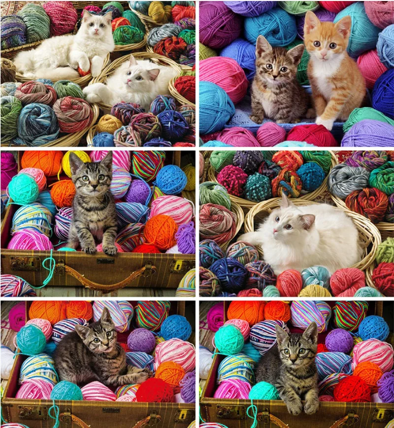 

5D DIY Diamond Painting Kits Cat Full Round With AB Drill Diamond Embroidery Animal Diamond Mosaic Full Layout Home Decor Gift