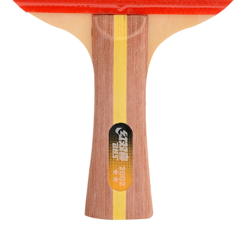 DHS table tennis racket two-star single shot gift double-sided anti-adhesive | Спорт и развлечения