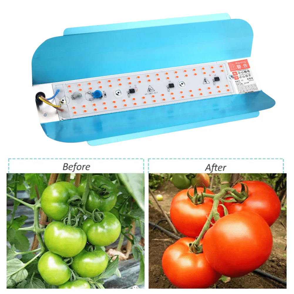 

Full Spectrum Phyto Lamp Tent Growth Plant Light Full Spectrum Fill Light Planting Indoor Greenhouse Growth Light