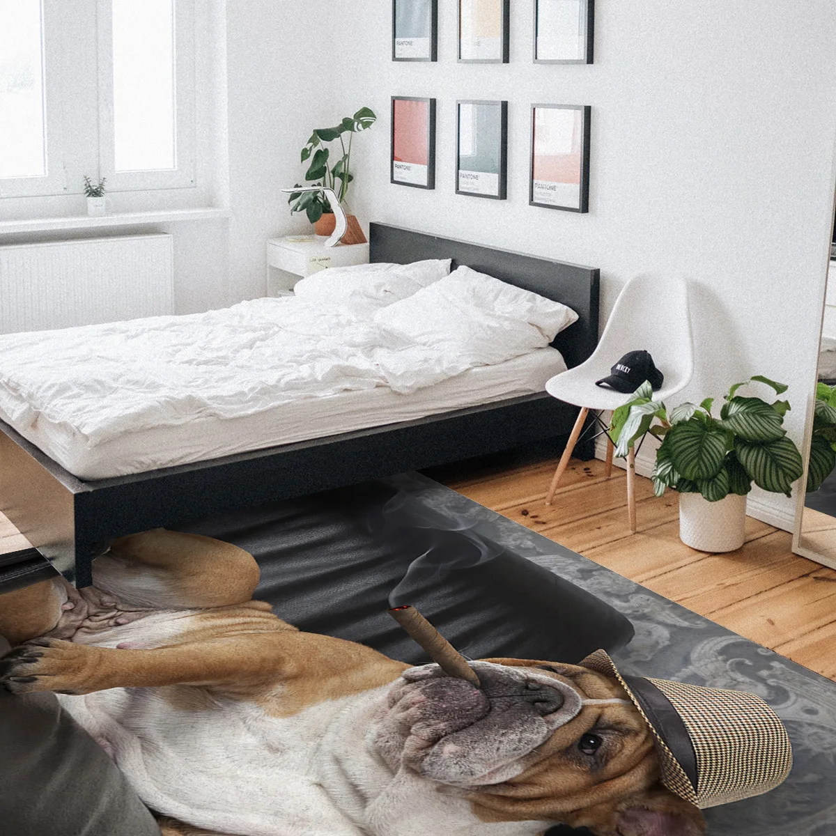 Курительная собака бульдог для отдыха диван ковры гостиной спальни зоны коврик