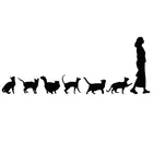 Виниловая наклейка для автомобиля, 23 см х 9 см