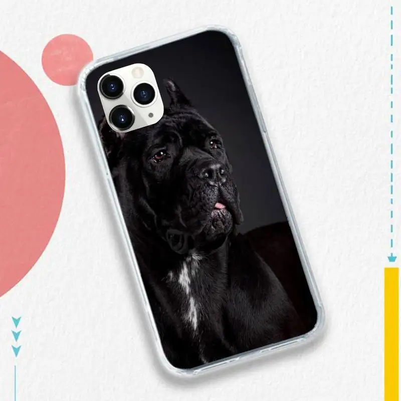 

Pitbull ferocious animal high quality cover Phone Case for iPhone 11 12 pro XS MAX 8 7 6 6S Plus X 5S SE 2020 XR