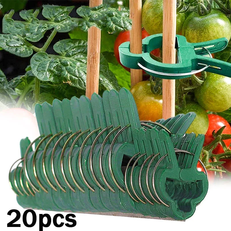 

20pcs Grafting Clips Greenhouse Clamp Stand Plastic Plant Clip Fastener Bracket Fixed Seed Stem Support Plant Grafting