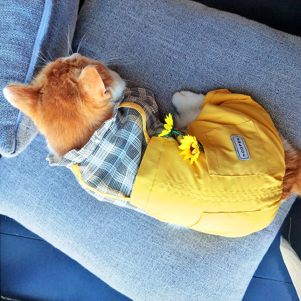 Теплые толстовки с котом Рождественский наряд роскошный костюм кошки свитер Ropa