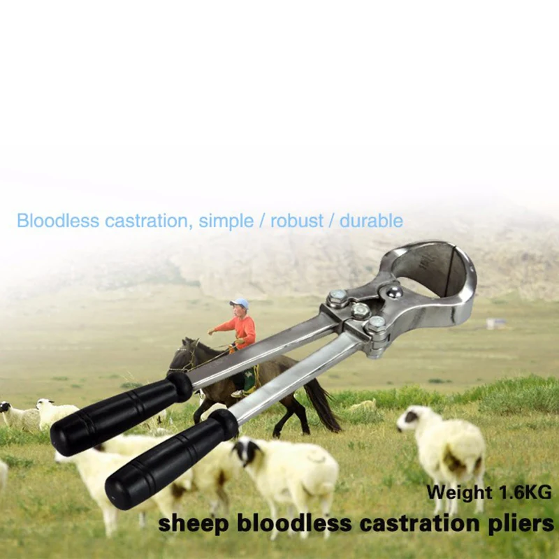 1 шт. плоскогубцы для кастрации овец из нержавеющей стали зажим крови крупного