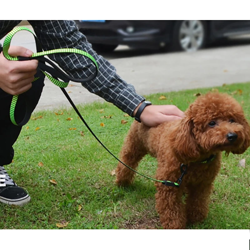 Нейлоновый ошейник для собаки свинцовый ремень набор Регулируемый