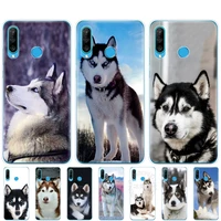 silicon phone cover case for honor 20 lite view 30 v 30 pro cover for huawei honor 20s 9a 9c 9s 9x premium 7s 8a husky puppy dog