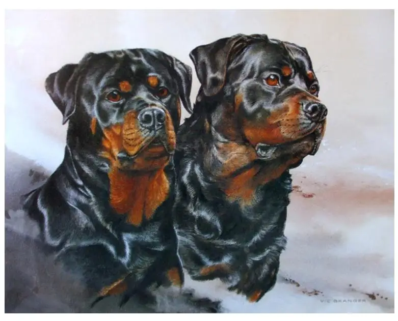 Животные Алмазная картина Лабрадор Собаки черная мозаика вышивка детские