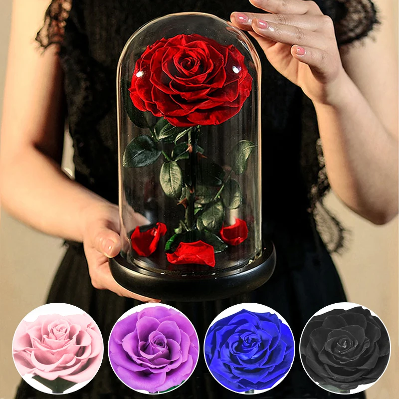 

Eternal Rose Beauty and The Beast Preserved Rose Flower In Glass Dome LED Light Forever Gift for Valentine Mother Day Christmas