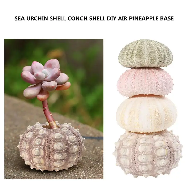 

4Pcs Creative Sea Urchin Ornaments Tillandsia Cultivation Containers DIY Planting Pots for Home Shop Office