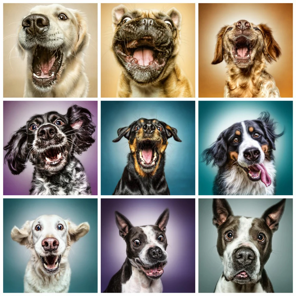 

MomoArt алмазов картина бусина в форме собаки вышивка настенное искусство Алмазная мозаика полная квадратная дрель животных ручная вышивка кр...